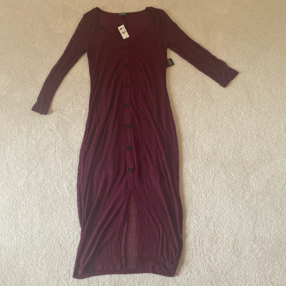 Express Deep Burgundy Long Sleeve Dress